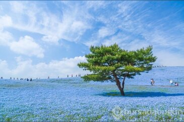Photoshop değmemiş muhteşem fotoğraflar