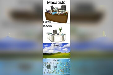 İşte kadın ve erkek arasındaki fark
