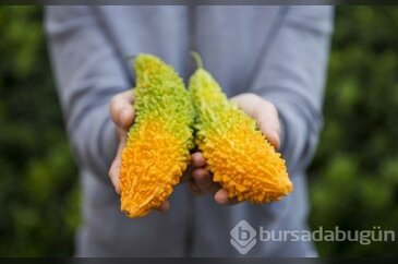Kudret narı mucizesi