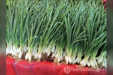 Taze soğan antibiyotikten daha etkili