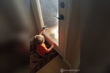 Kendini bebeğin koruyucusu hisseden ördek	