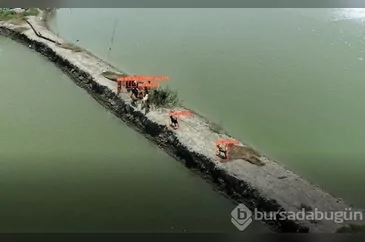 Tayvan'da sokak köpekleri drone'larla izlenmeye başlandı