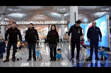 Terapi köpekleri İstanbul Havalimanı'nda iş başı yaptı

