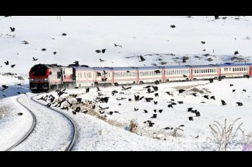 Türkiye turistik treni sevdi
