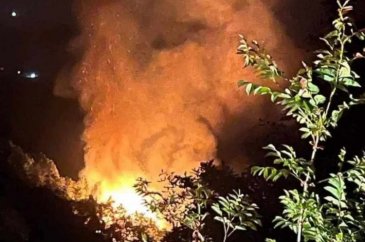 Yalova'da orman yangını! 2 şüpheli gözaltına alındı
