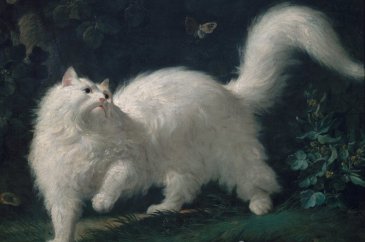 Sanat tarihindeki en popüler 10 kedi resmi