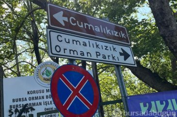 Ünü sınırları aştı! Bursa'daki bu park sosyal medyanın yıldızı oldu...