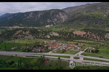Önceki ve sonraki hali şoke etti! 10 gün içinde tamamen kurudu