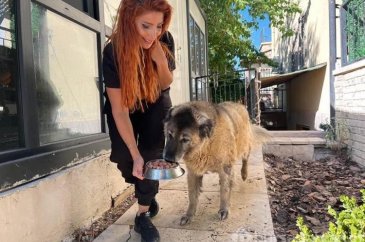 Obez köpek 6 ayda 20 kilo verdi