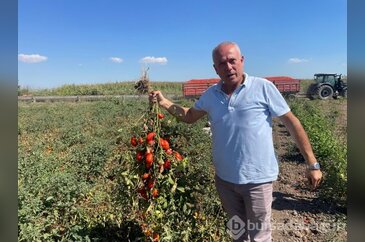 Londra'da kazandıklarıyla memleketine döndü: yılların emeğini topra...