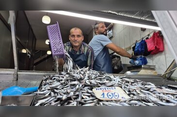 Yaz sıcakları palamudu kaçırdı, tezg&acirc;hın yeni h&acirc;kimi ha...