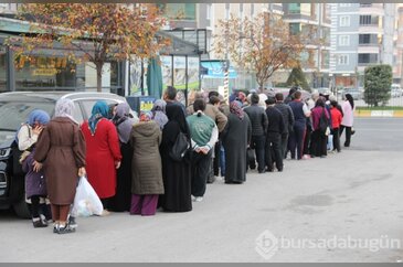 Çorum'da hamsi bereketi: Kilosu 40 liraya düşünce kuyruk uzadı