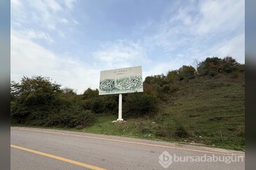 Ormana tabela asıp milyonlar topladılar