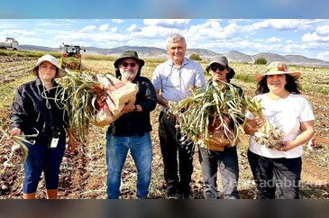 KBÜ, sarımsakta Fusarium hastalıklarına karşı bilimsel çözüm gelişt...