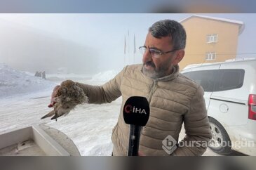 Yüksekova'da yürek burkan manzara: Konduğu yerde dondu