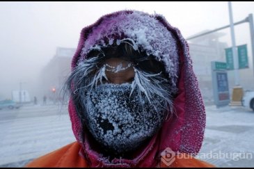 Moğolistan'da son 50 yılın en sert kışı