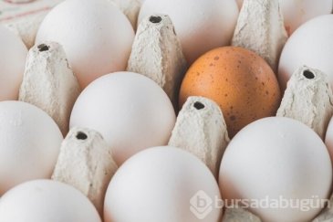 Kahverengi mi beyaz mı: Yumurtaların renkler...