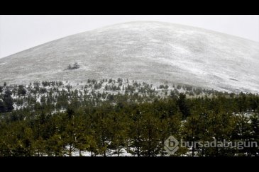 Kars'ta kar yağışı etkili oldu
