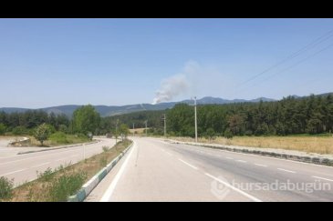 Bursa, Muğla ve Antalya'da orman yangını

