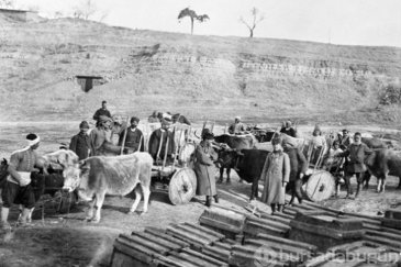 Hiç görmediğiniz fotoğraflarla Çanakkale Savaşı