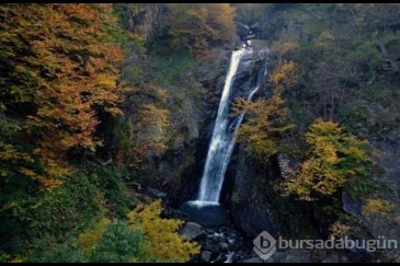 Bursa'da kaç şelale var? İşte Bursa'daki şel...