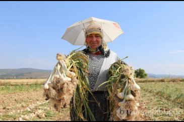 Kavurucu sıcakta kadın gücü!