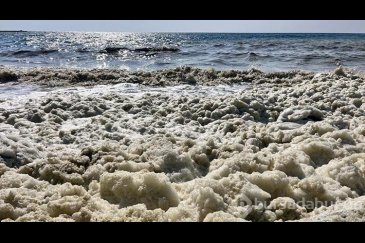İskenderun Körfezi'nde beklenmeyen köpük!