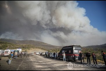 Renkler soldu! Bursa'nın dağ ilçeleri griye ...