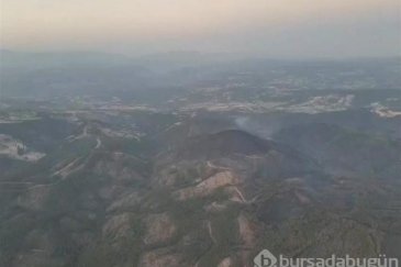 Orman yangılardan sonra insanların solunum ş...