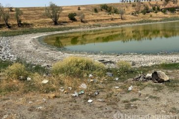 Kızılca Göletin'de sular çekildi! Ölen balık...