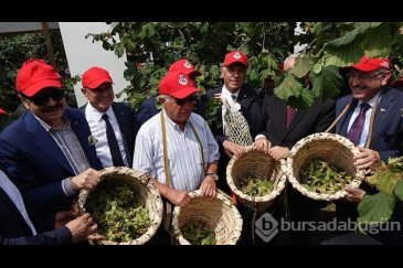 Trabzon'da 'Dünya Fındık Haftası' etkinliği