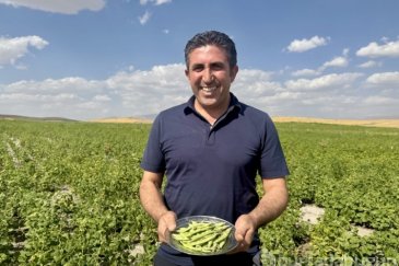 Ağrı'da yetişmez denilen fasulye, yüksek ver...