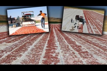 Elazığ'da üretiliyor; ABD, Fransa, İngiltere...