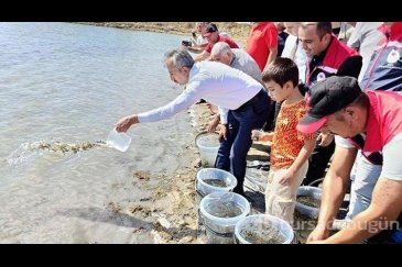 Edirne'de 30 bin yavru sazan gölete bırakıldı