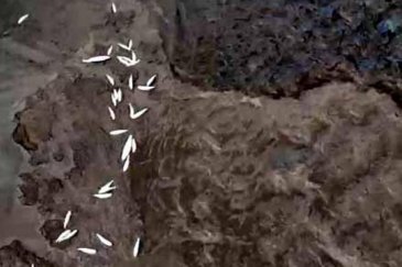 Katı atık bertaraf tesisi borusu patladı!