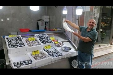 Rize'de sezonun ilk balıkları tezgahtaki yer...