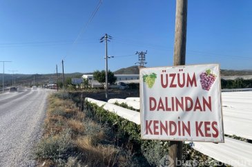 Dalından satışla ekonomiye katkı