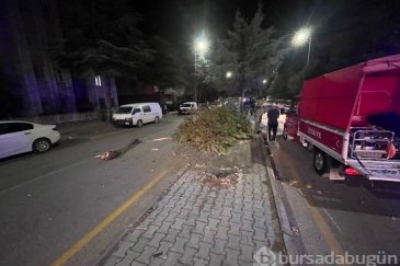 Takla atan otomobilden çıkartılan sürücünün ...