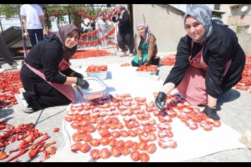 Afetzede kadınların kuruttuğu domatesler, kı...