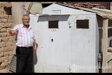 Banka kasası değil güvercin kümesi