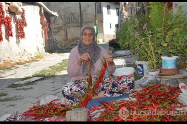 160 yıldır aynı tohumdan acı biber üretiyorlar