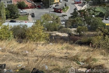 Kağıthane'de ağaçlık alan alev alev yandı