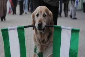 FANATİK K&Ouml;PEK &Ccedil;ARŞININ MASKOTU OLDU