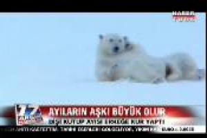 KUTUP AYILARININ AŞKI B&Uuml;Y&Uuml;K OLUR