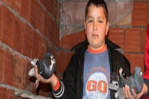 S&Uuml;NNET PARASIYLA G&Uuml;VERCİN ALDI ONU DA HIRSIZLAR &Ccedil;ALDI