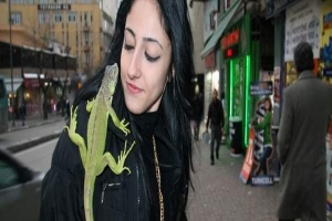 BURSASPORLU IGUANASINI SOKAK SOKAK GEZDİRİYOR