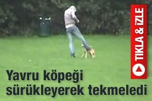 HAYVANSEVERLERİ &Ccedil;ILDIRTAN G&Ouml;R&Uuml;NT&Uuml;