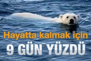 HAYATTA KALMAK İ&Ccedil;İN 9 G&Uuml;N Y&Uuml;ZD&Uuml;