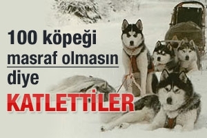 MASRAF OLMASIN DİYE 100 K&Ouml;PEĞİ KATLETTİLER