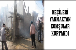 BURSA'DA &Ccedil;IKAN YANGIN 2 EVİ K&Uuml;L ETTİ